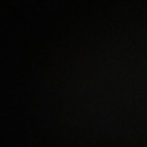 Meet your Posher, Payton